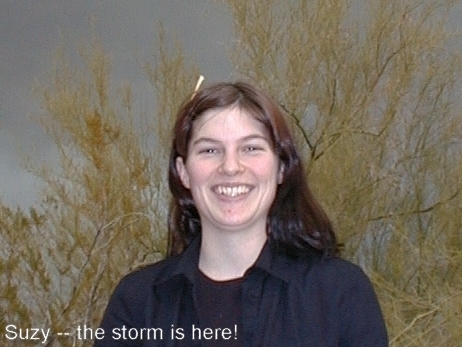 Original image