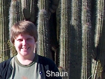 Original image