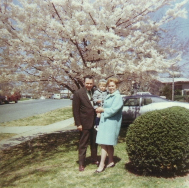 Original image