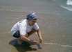 Shaun collects shells