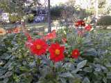 Botanical Garden