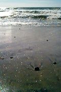 Stones on the beach